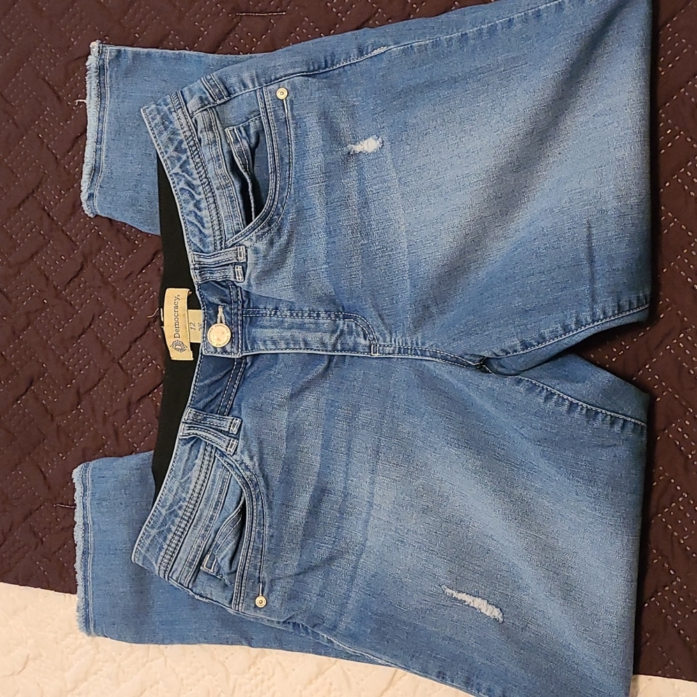 Democracy Jean Capris